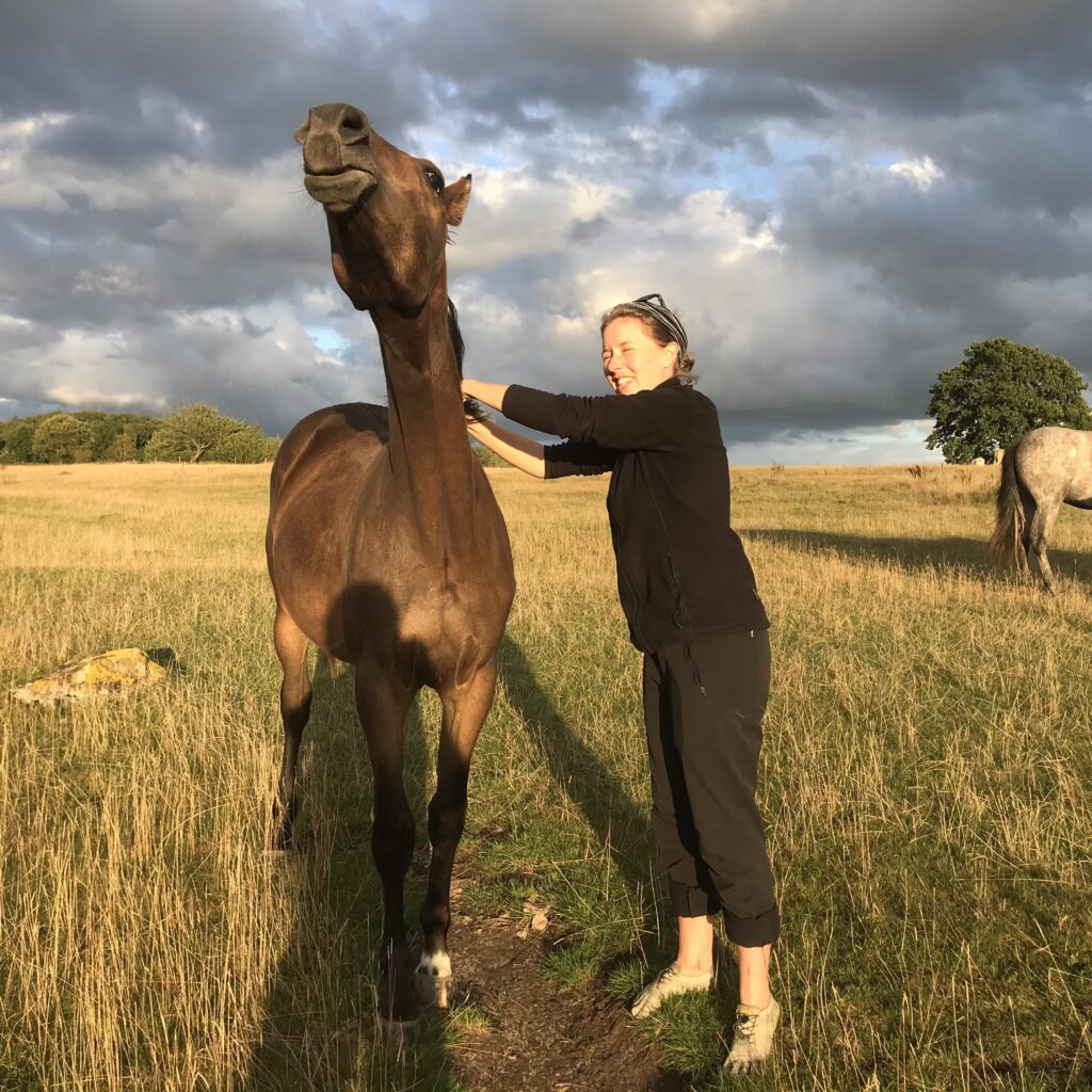 Foto je paard begroeten, waar zit de kriebel?