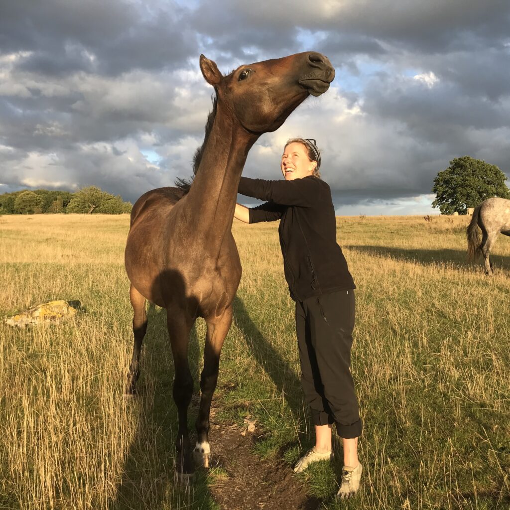 Foto je paard begroeten, waar zit de kriebel?