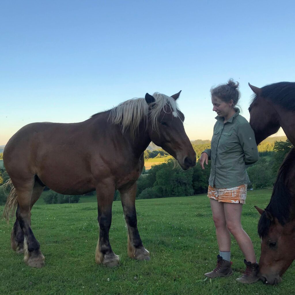 Foto je paard begroeten, rondhangen