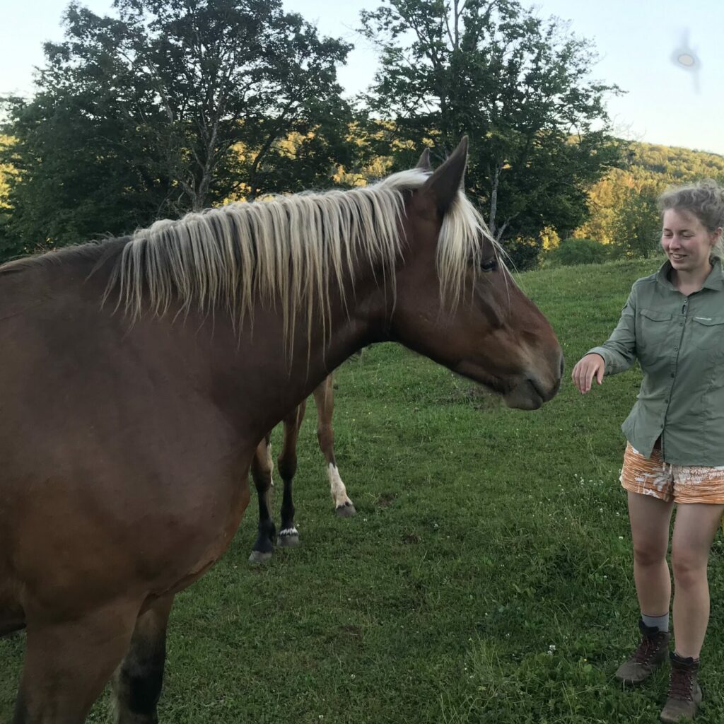 Foto je paard begroeten, beleefde begroeting